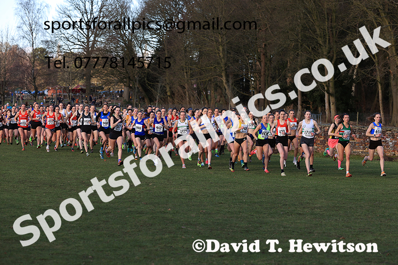Senior womens 2025 Northern Cross Country Champs, Tatton Park, Knutsford, Cheshire. Photo: David T. Hewitson/Sports for All Pics